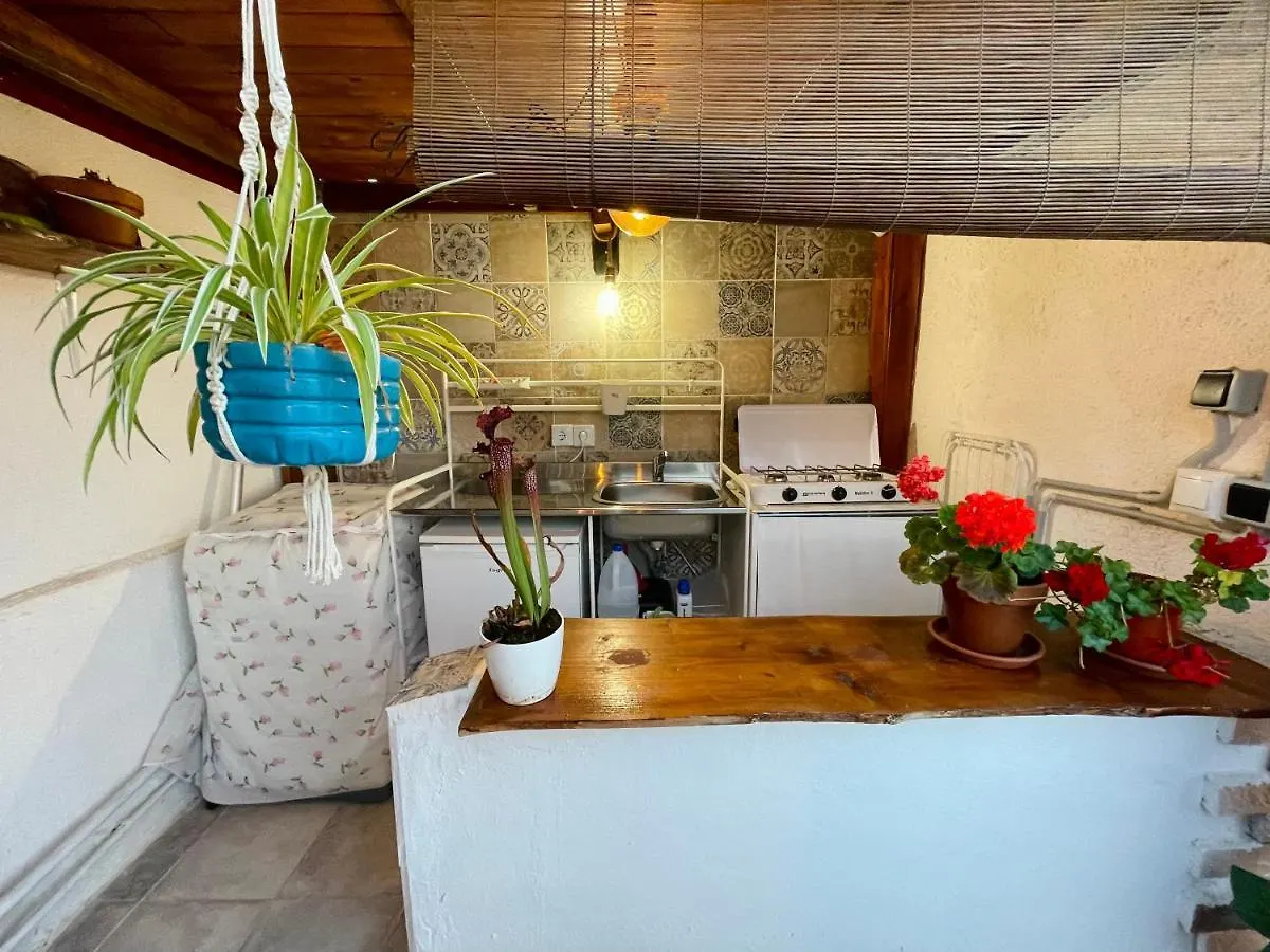Vila Casa Dionea, Puerto De La Cruz Prázdninový dům Puerto de la Cruz (Tenerife)