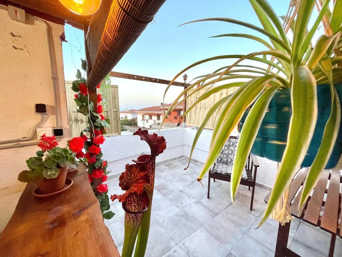 Villa Casa Dionea, Puerto De La Cruz